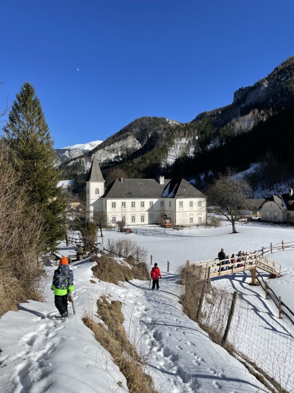 Nasswald winter