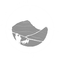 Nasswald_Logo_White