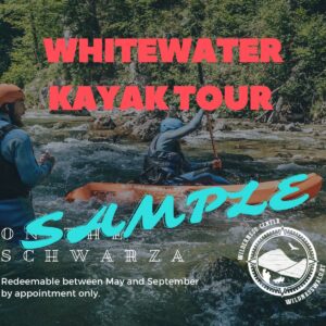 KAYAK TOUR SCHWARZA (3 HRS) VOUCHER