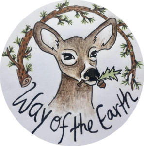 The Way of the Earth School