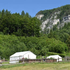 Glamping Nasswald